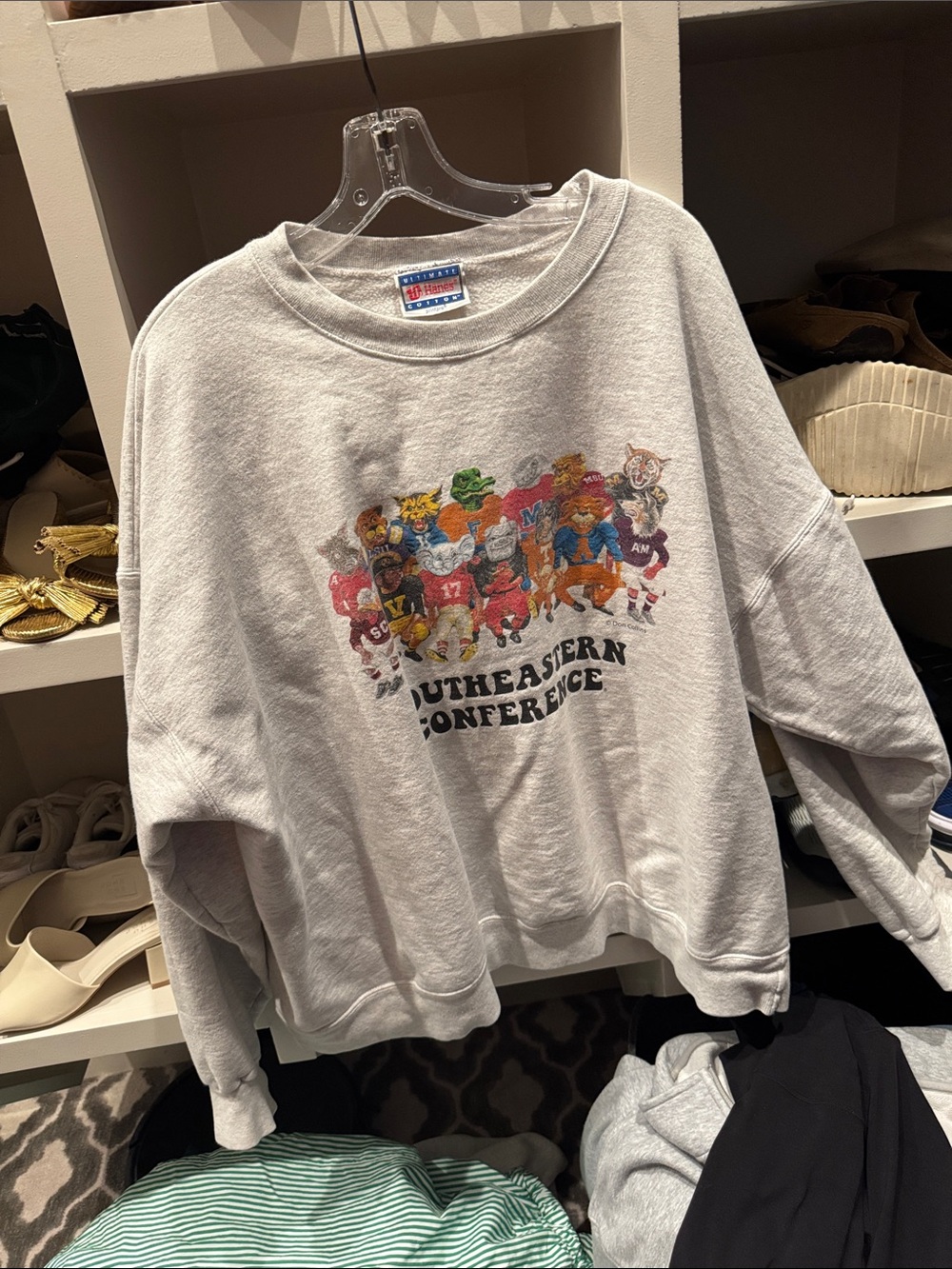 Hanes Gray Crewneck Sweatshirt with Colorful Mascot Graphic